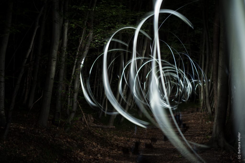 Lightpainting, Lichtmalerei: Lichtspuren im Wald bei Nacht