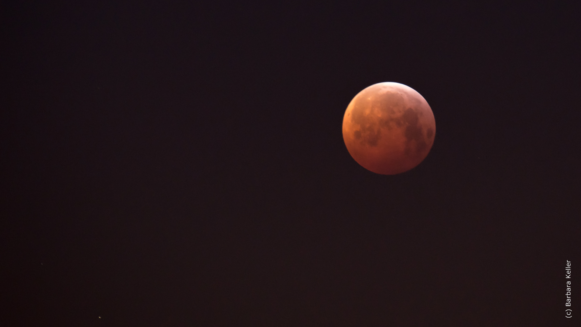 Nachtaufnahme Vollmond - Mondfinsternis - Blutmond 2019