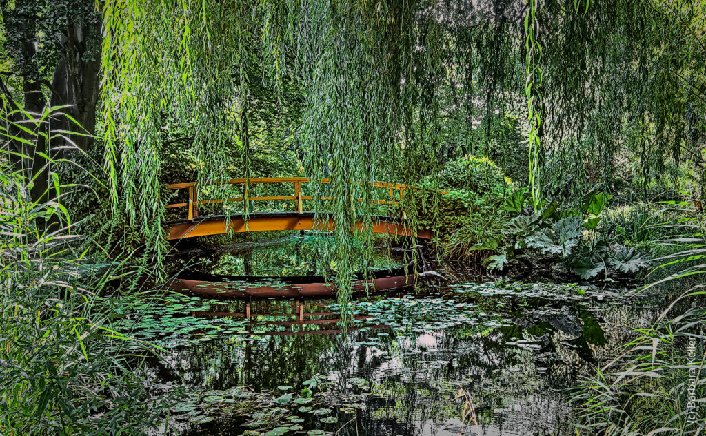 Monets Garten: Brücke im See bzw. Teich im Schulgarten Kagran in Wien