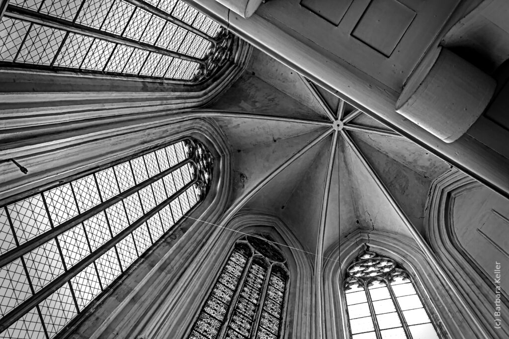 Blick nach Oben: Architektur Minoritenkirche in Wien