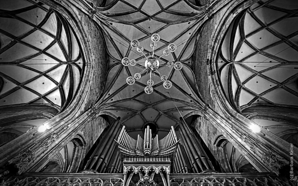 Blick nach Oben: Gotisches Deckengewölbe und Orgel im Stephansdom in Wien